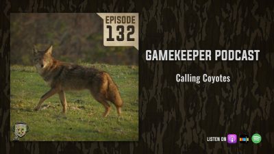 EP:132 | Calling Coyotes
