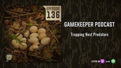 EP:136 | Trapping Nest Predators