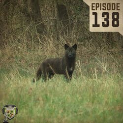 EP:138 | So You Think You Know Coyotes?