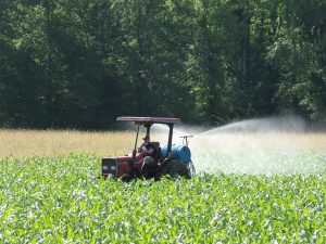 spraying food plot