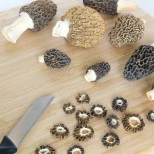 Morel Mushrooms: A Spring Treat