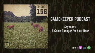 EP:156 | Soybeans: A Game Changer for Your Deer