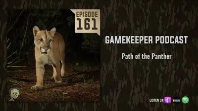 EP:161 | Path of the Panther
