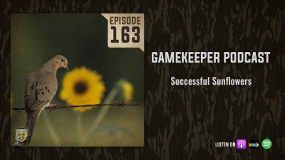 EP:163 | Successful Sunflowers (BONUS EPISODE)