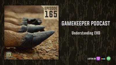 EP:165 | Understanding EHD