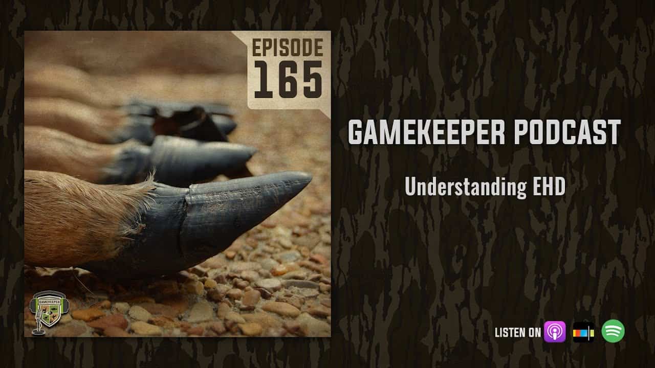 EP165 Understanding EHD Mossy Oak Gamekeeper