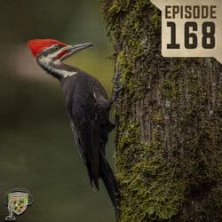 EP:168 | The Bird Man of Mississippi