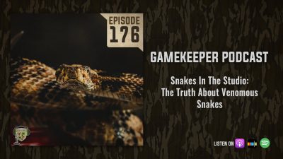 EP:176 | Snakes in the Studio: The Truth About Venomous Snakes