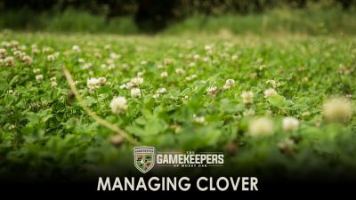 Managing Clover