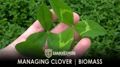 Managing Clover – Biomass
