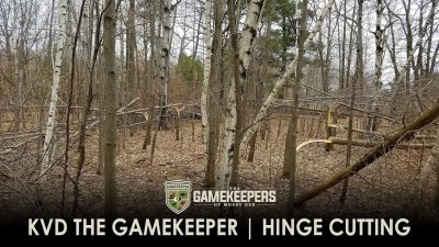 KVD The Gamekeeper | Hinge Cutting