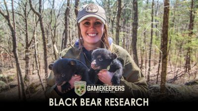 Black Bear Research