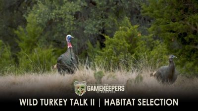Wild Turkey Talk II – Habitat Selection