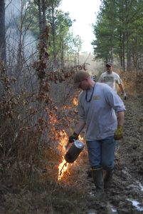 Controlled Burn