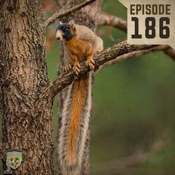 EP:186 | Serious About Squirrels