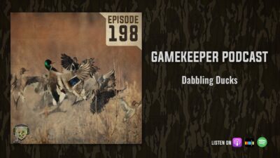 EP:198 | Dabbling Ducks