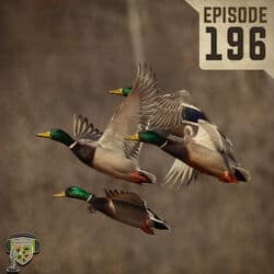 EP:196 | Duck Season