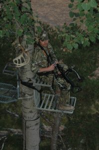 bow hunting in a treestand