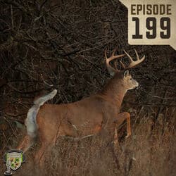 EP:199 | Buck Movement Scientifically Studied and Explained