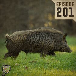 EP:201 | The Problem with Wild Pigs