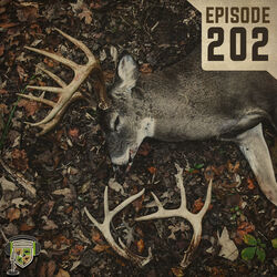 EP:202 | Finding Sheds and the Path to Enjoying Your Property