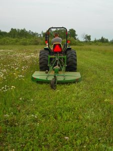 mowing-clover