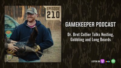 EP:210 | Dr. Bret Collier Talks Nesting, Gobbling and Long Beards