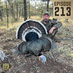 EP:213 |  Turkey Tuesday with Dr. Mike Chamberlain