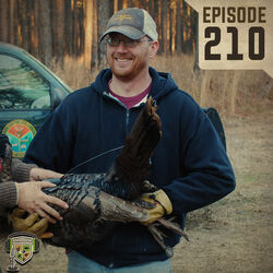 EP:210 | Dr. Bret Collier Talks Nesting, Gobbling and Long Beards